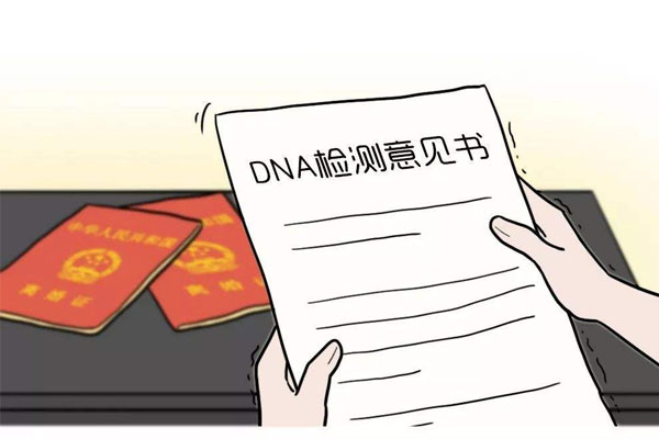 亲子鉴定