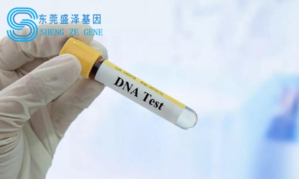 东莞盛泽基因