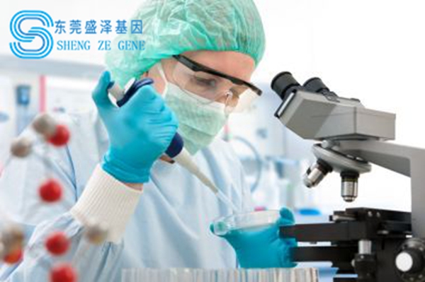 东莞盛泽基因