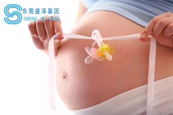 东莞盛泽基因
