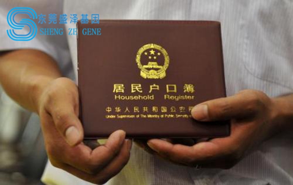 东莞盛泽基因