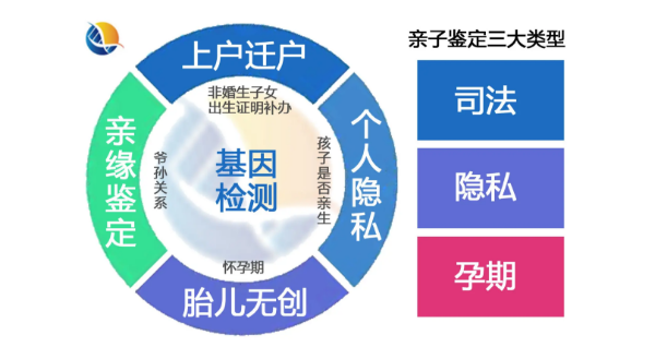 efb446906c42b704ede9daa37fb10b8.png