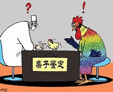 亲子鉴定