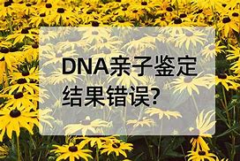匿名亲子鉴定准确吗